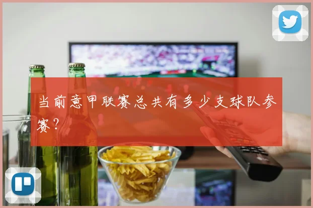 当前意甲联赛总共有多少支球队参赛？