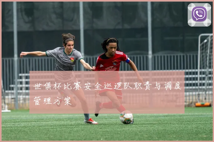 世俱杯比赛安全巡逻队职责与调度管理方案