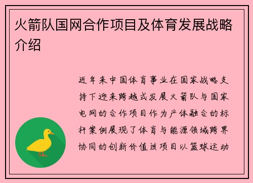 火箭队国网合作项目及体育发展战略介绍